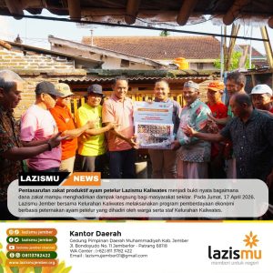Pentasarufan Zakat Produktif Ayam Petelur Lazismu Kaliwates Dorong Kemandirian Warga